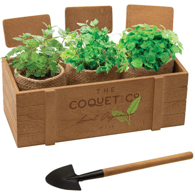 Garden & Planters