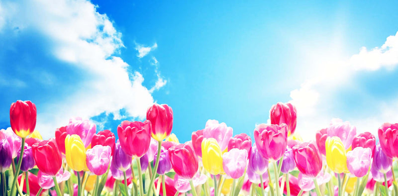 176CP-Floral v7 Casket Panel