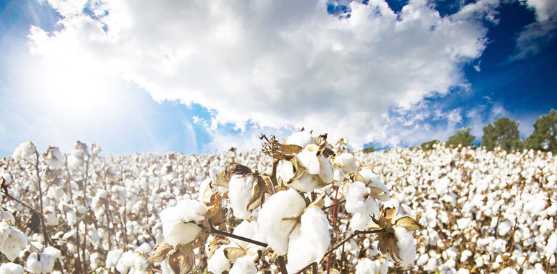 185CP-Floral v7 Casket Panel