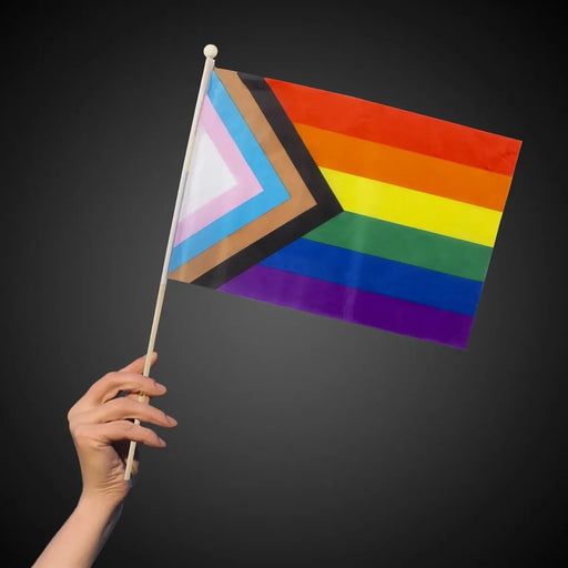 Progress Pride Flag 12" x 18"
