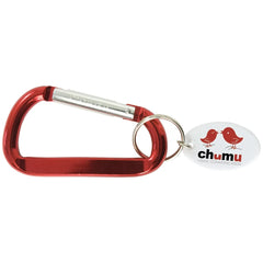 Carabiner Keytag