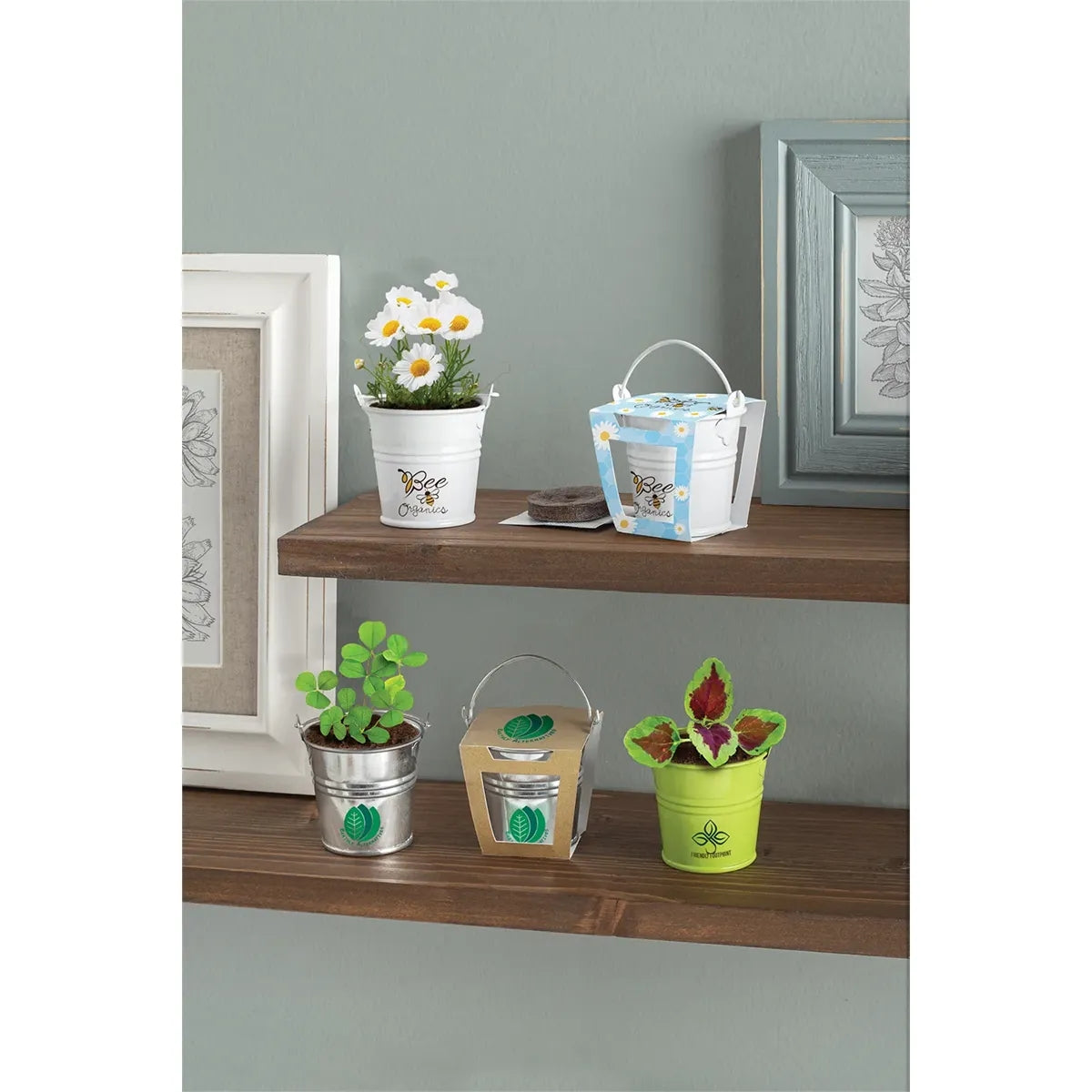 Mini Pail Blossom Kit