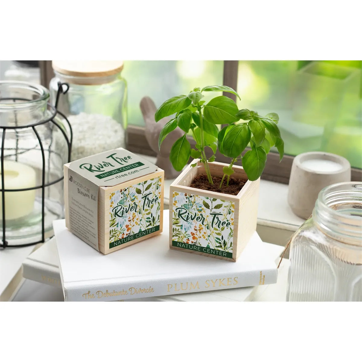Wooden Cube Blossom Kit