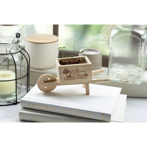Wooden Wheel Barrow Blossom Kit