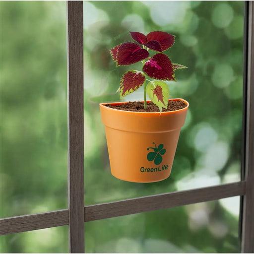 Wall Sprouts Planter Blossom Kit
