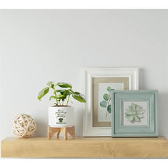 Ceramic Planter Set