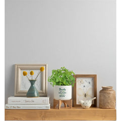 Ceramic Planter Set