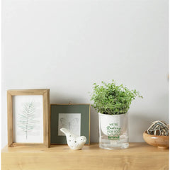Self Watering Planter