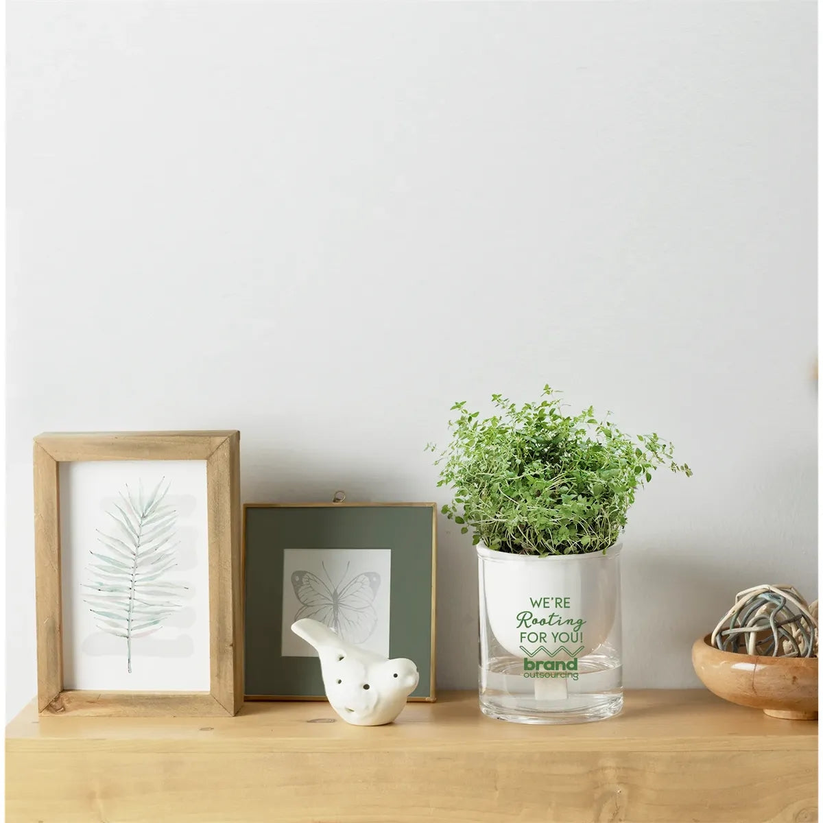 Self Watering Planter