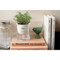 Self Watering Planter