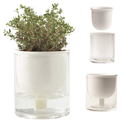 Self Watering Planter