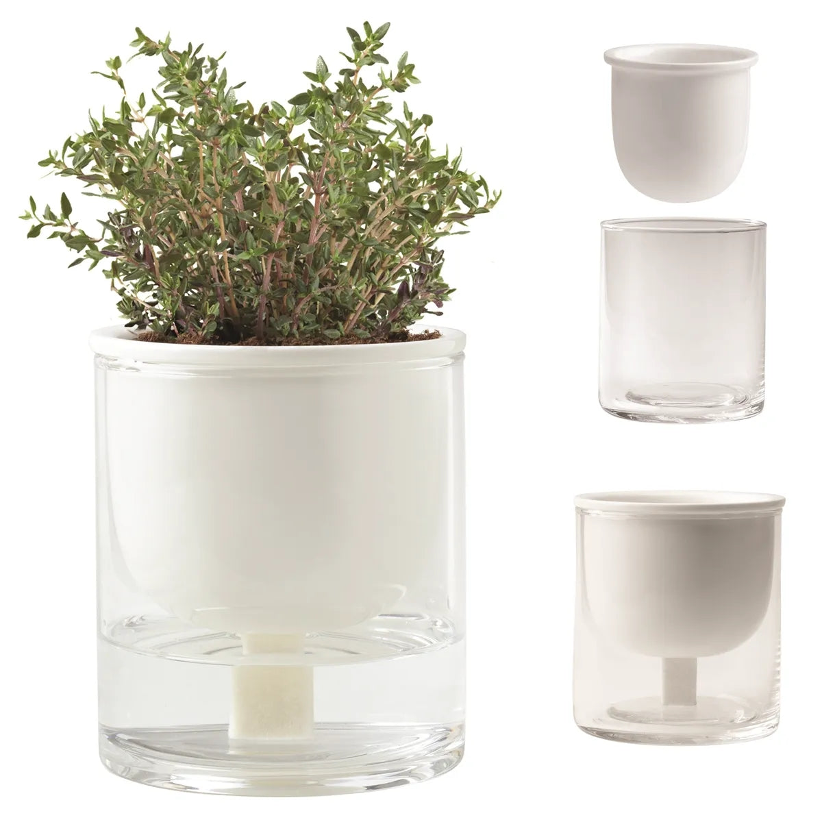 Self Watering Planter
