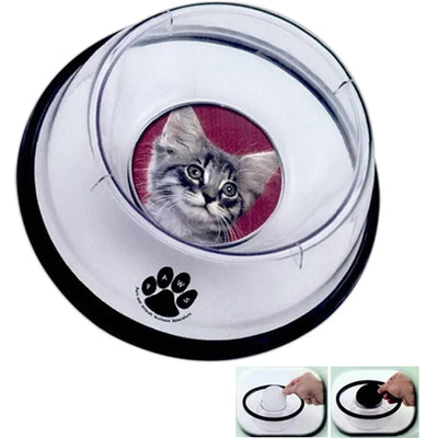Pet Products