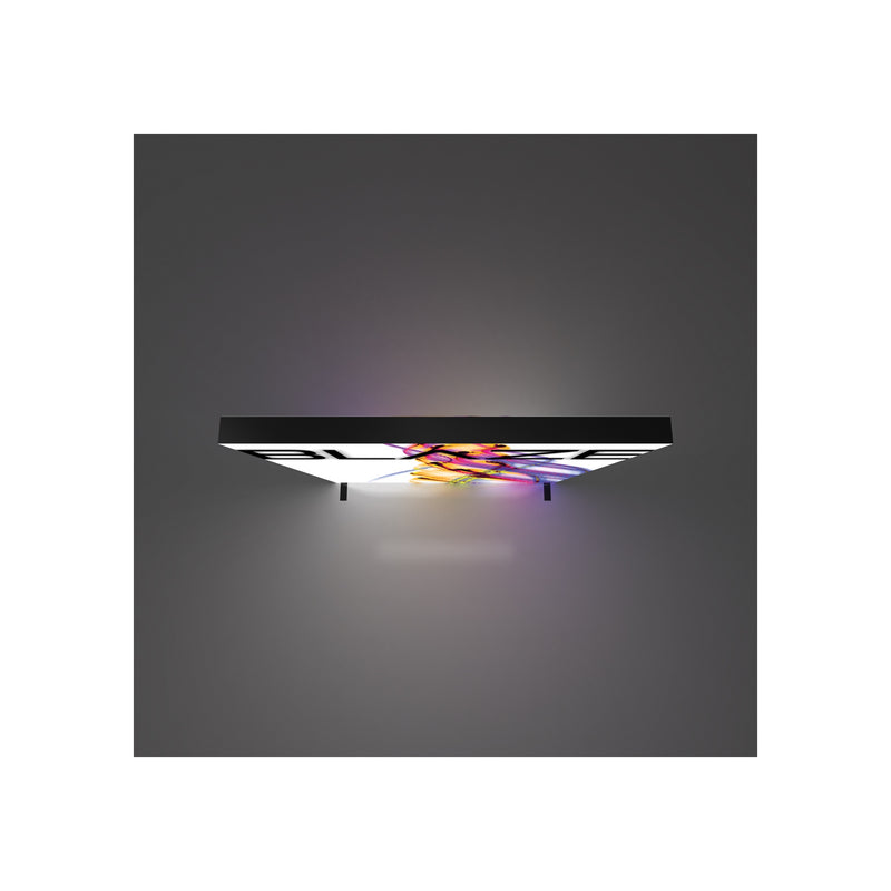Blaze Light Box 0808 - Freestanding