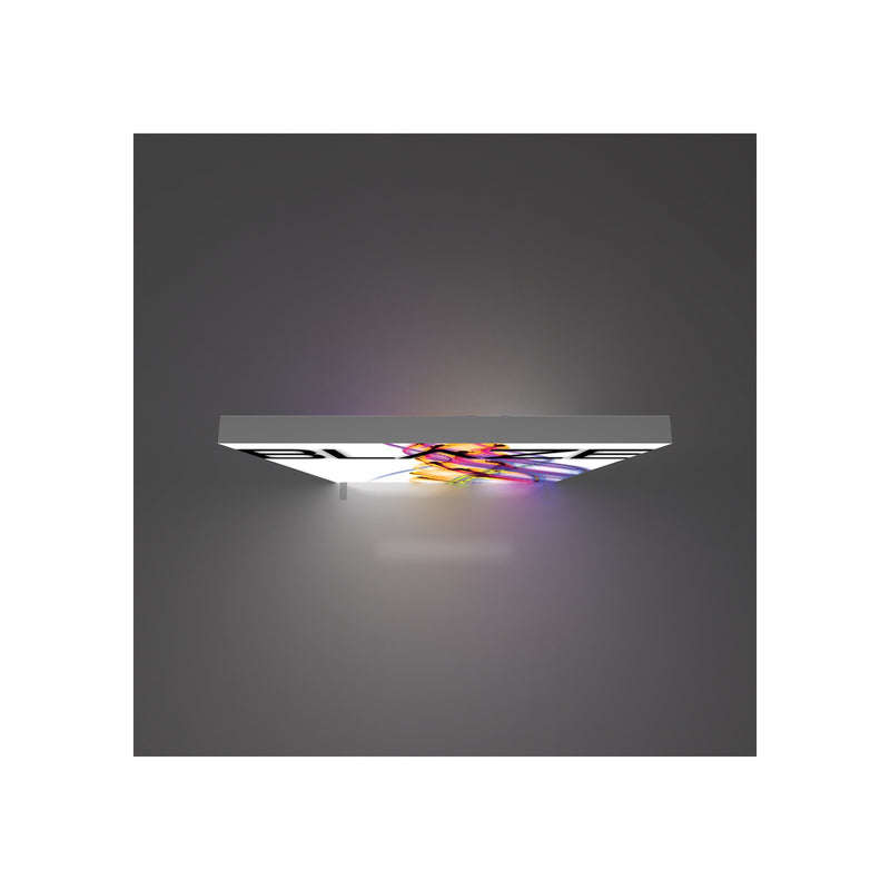 Blaze Light Box 0808 - Freestanding