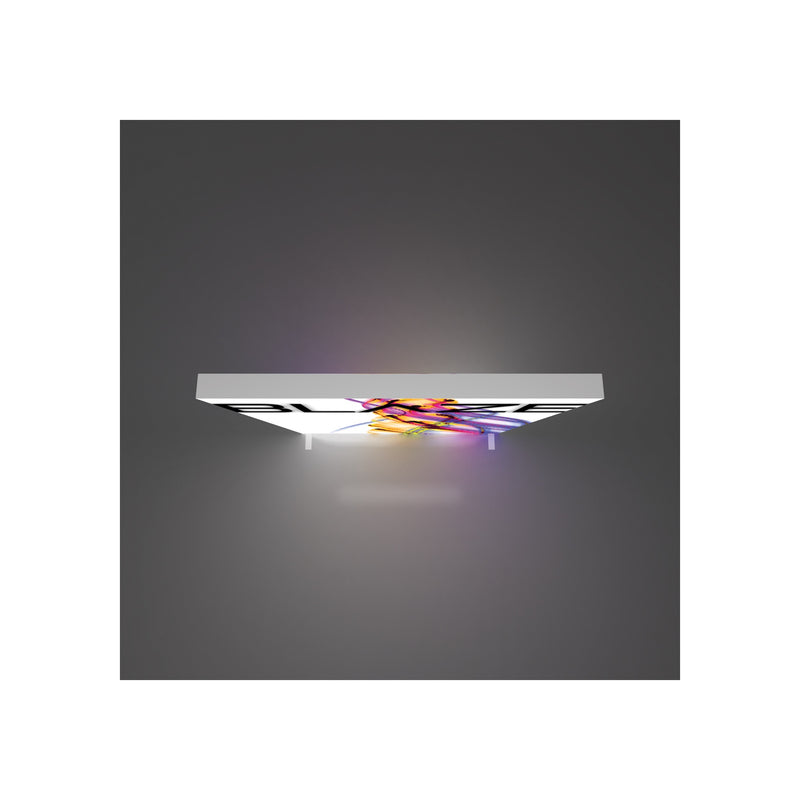 Blaze Light Box 0808 - Freestanding