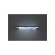 Blaze Light Box 2010 - Freestanding
