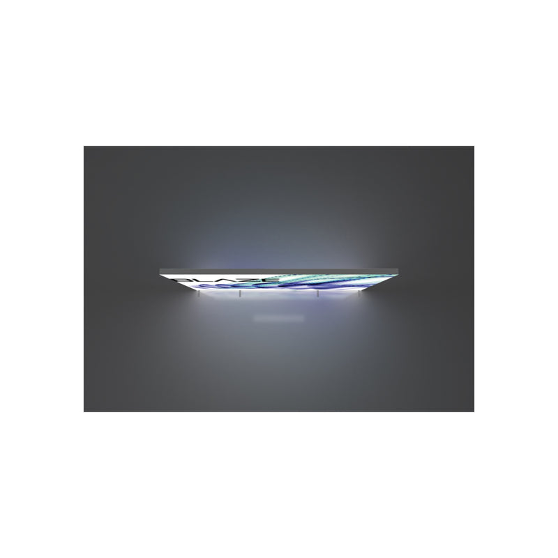 Blaze Light Box 2010 - Freestanding