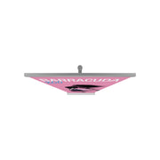 Barracuda 800 Retractable Banner Stand