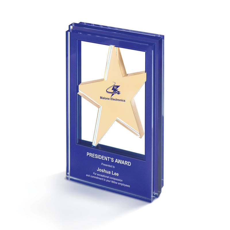 25MCD1263 Suspended Star Acrylic Award