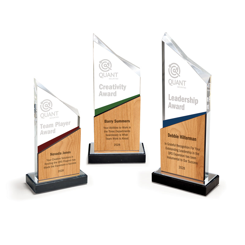 25MCD1285 Abstract Cut Acrylic Award