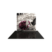 Formulate Essential 8ft Straight Fabric Backwall