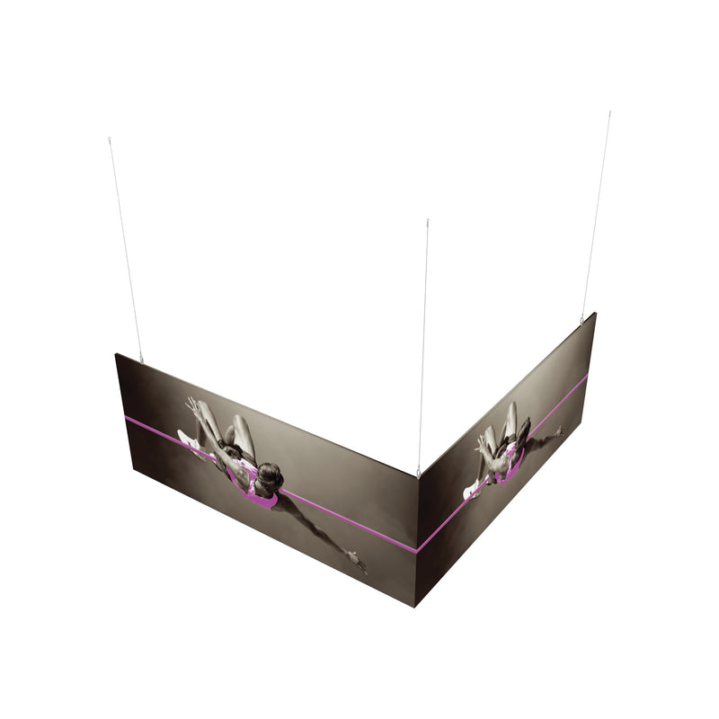 10ft x 10ft x 4ft L-Shaped Hanging Structure