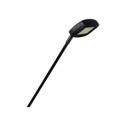 Slimline LED Flood Display Light
