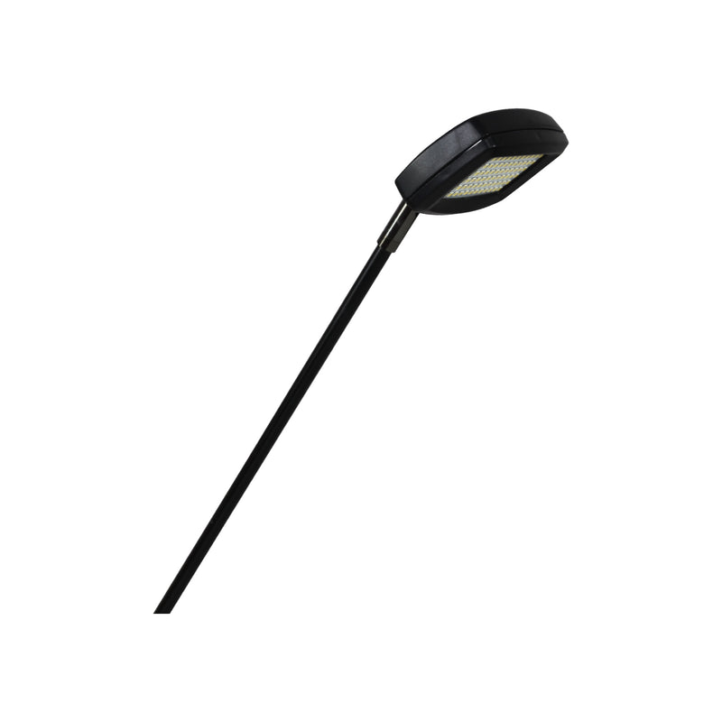 Slimline LED Flood Display Light