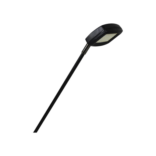 Slimline LED Flood Display Light