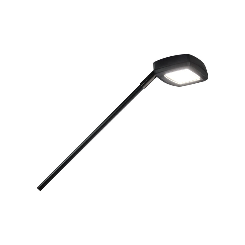 Slimline LED Flood Display Light
