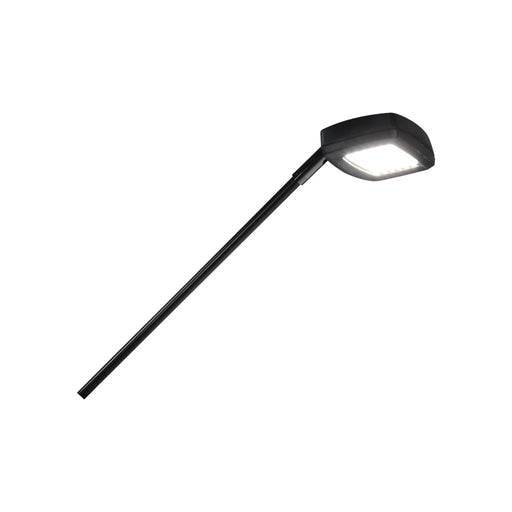 Slimline LED Flood Display Light