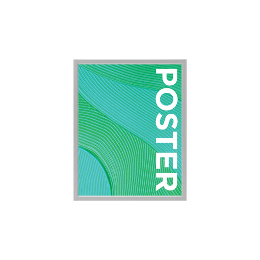 Trappa Poster Frame Display 24 x 30