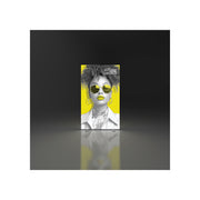 Vector Fast Frame Light Box 0407