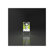 Vector Fast Frame Mini Light Box