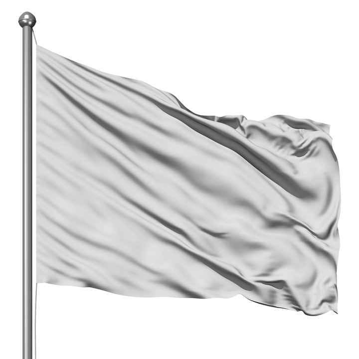 Flag (Single-Sided) 2'x3