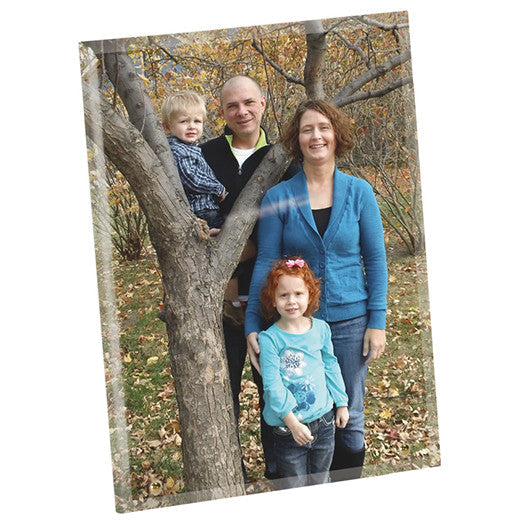 7 x 10 Portrait King Coat Glass w/ 2 Gold Pins